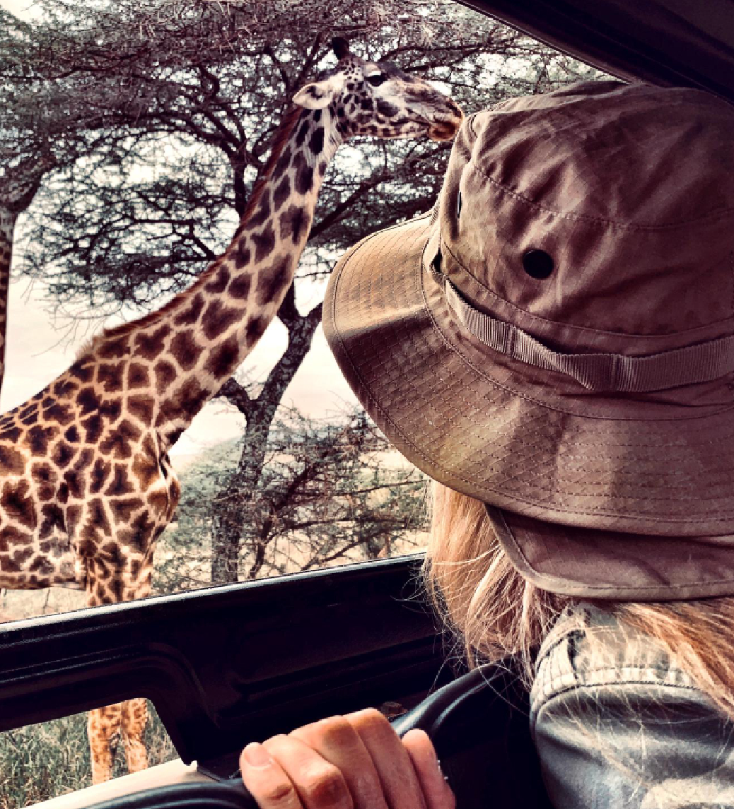 Safari Gallery